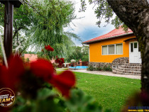 FILM3D! Doua case cu:piscina,foisor,arbori decorativi,1.700m