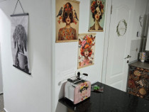 De &icirc;nchiriat apartament 1 camera complet mobilat Centrul Istoric