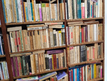 Carti bibliografie scolara