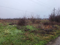 Teren 5000 mp 1 decembrie - strada Oituz