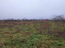 Teren 5000 mp 1 decembrie - strada Oituz