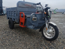 Forte Cargo 1000, acumulatori litiu-ion, basculare hidraulica, 1Tona