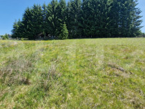 Teren extravilan, 5800 mp, Marisel