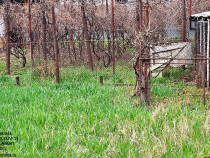Teren intravilan Piatra Neamt, zona Centrul Scolar"Alexandru Rosca"