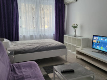 Garsoniera Drumul Taberei Proprietar