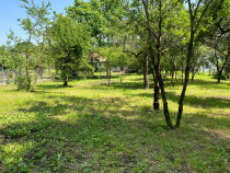 Casa cu teren 2105 mp Campina zona rezidentiala