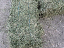 Baloți de lucernă și otava