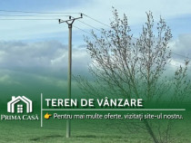 Oportunitate de investitie ~ teren in apropiere de A7 ~ 20.000mp