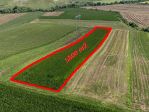 Teren agricol 5800mp