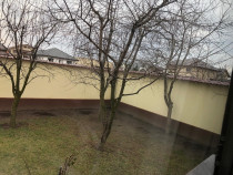 Taieri pomi fructiferi