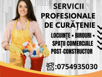 Servicii Profesionale de Curățenie