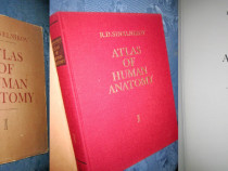 R.D.S. Atlas de Anatonie Umana-vol. 1, 1988.