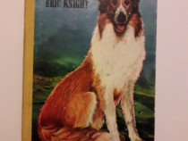 Lassie se-ntoarce acasa - Eric Knight / R8P2S
