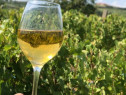 Vin Natural - Feteasca Regala