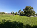Teren intravilan 3343mp, investitie/constructie Vintu de Jos