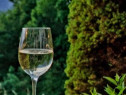 Vin de Vita Nobila de Dragasani - Sauvignon Blanc