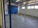 Hala 450 mp depozit / productie Sos Giurgiului (Arteca)