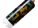 Pachet Azot - Butelie Exotic Whip (gaz ilariant, funny gas)