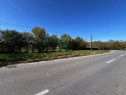 Teren intravilan/Str Balciului/Copacelu