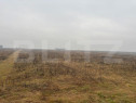 Teren Intravilan, 3000 mp, zona Chintelnic
