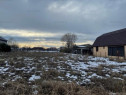 Teren Buda- Ilfov.