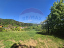 Teren intravilan 1,577mp Brasov / Schei/ constructii fara...