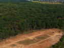 Teren 459mp deschidere la padurea Snagov!Mega reduceri de pret