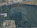 Teren 10,809mp, Padurea Baneasa Bucuresti sector 1