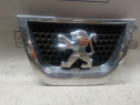 Grila bara fata Peugeot 3008 2012