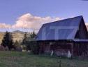 Casă la munte, cu teren 13383 mp, zona Horea - Apuseni