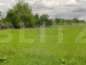 Teren extravilan la principala Calea Lugojului 5000 mp
