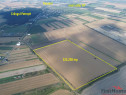 Teren Arabil cu potential de in Vanatori - Focsani - Vrance