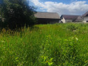 Teren intravilan, 10000mp, zona Maneuti, Radauti