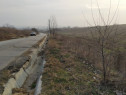 Teren intravilan Pielesti , suprafață 10.000mp deschidere