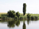 Teren intravilan cu vedere la lac – Balotești / Corbeanca, 17850 mp