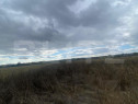 Teren extravilan, 2500 mp, zona Lucieni