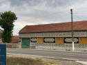 Casă + teren uriaș Remetea Poganici, Caras-Severin