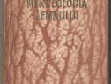 Merceologia Lemnului