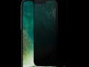 Folie Sticla Tempered Glass Apple iPhone 13 iPhone 13 Pro 6.