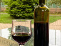 Vin din Vita Nobila - Cabernet Sauvignon