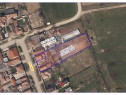 Teren 1950 mp și casă cu anexe, de vânzare în Cihei, ...