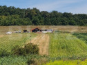 Teren agricol extravilan 60 ari Bardesti