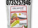 Dicarzol 50 SP insecticid Italia