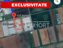 COMISION 0% Teren de vanzare - zona industriala Ghiroda