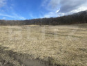Teren extravilan de vanzare, 2,4 hectare, zona drumul Tarpiu