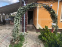 Casa cu 3 camere si anexe, 170 mp, zona Carpati 2