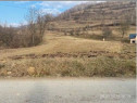 Teren intravilan 2.350 Runcu Salviei, Bistrita Nasaud - 3...