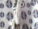 Airbag cortina stanga Mercedes E 220 2010