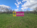 Teren de vanzare in Brebu - Zona Brebu Megiesesc