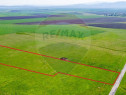 Teren agricol 5 ha, extravilan, 52 m deschidere la șosea